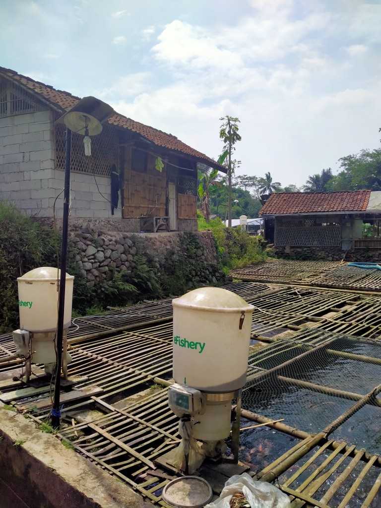 Survey Kolam Budidaya Ikan: Aji yang Terampil Memasyarakatkan Teknologi