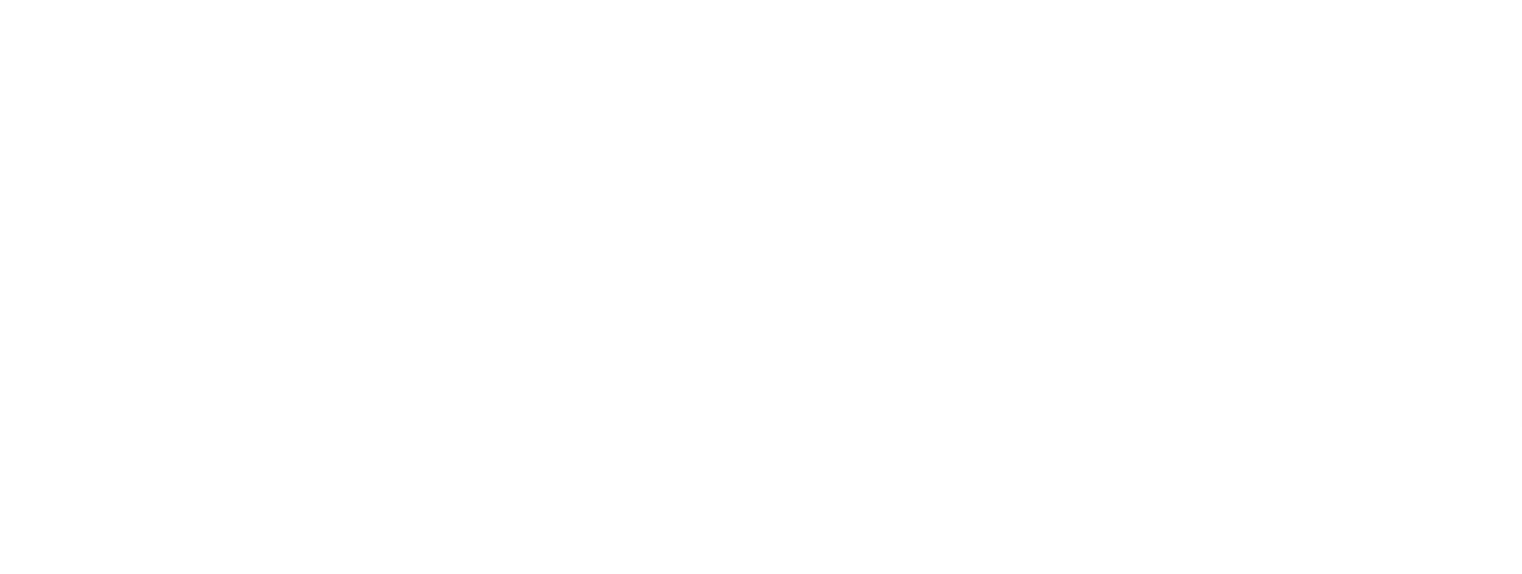 eFishery Engineering